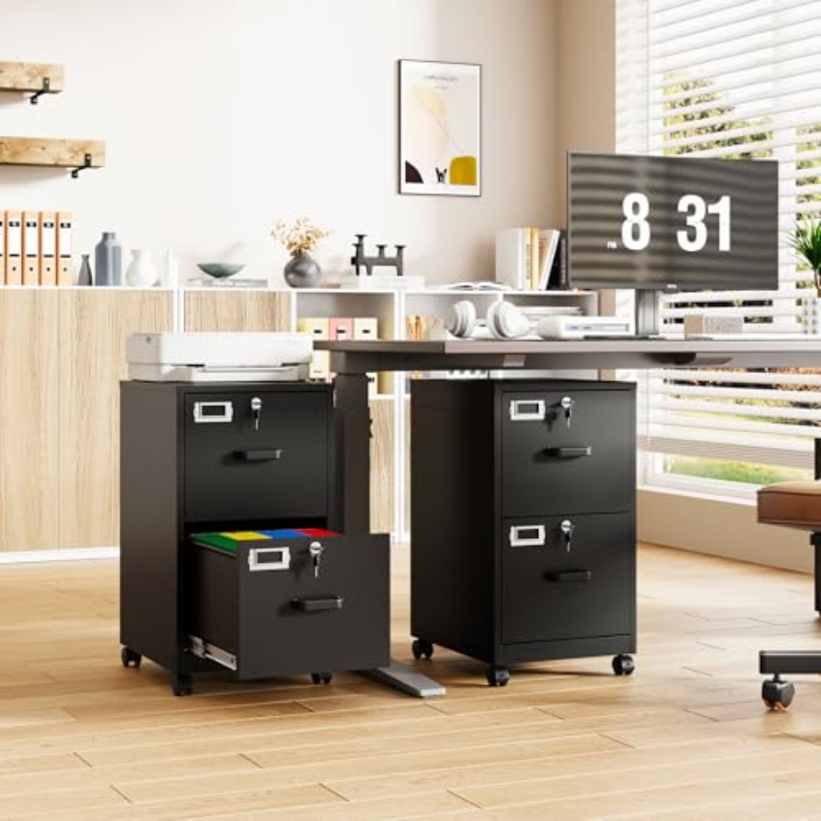 2-Drawer Rolling File Cabinet  - File Folder Hanging review and price