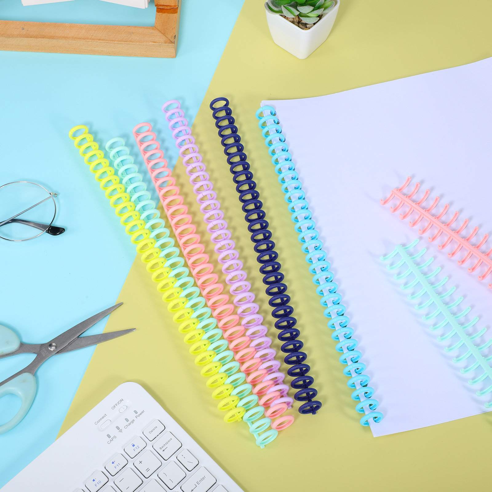 12Pcs Flexible Plastic Binding - Binding Comb Plastic review and price
